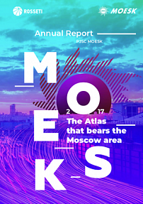 Annual Report "MOESK 2017"